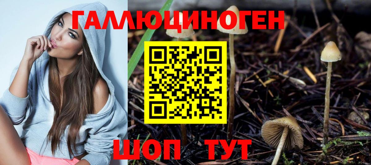 Галлюциногенные грибы Cubensis Фролово